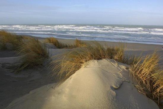 Cote Dune Le Crotoy Exteriör bild